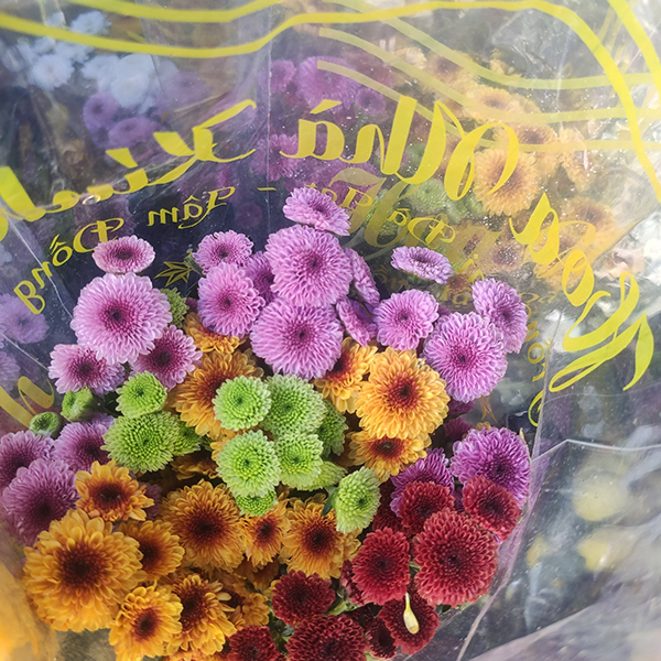Combo mâm ngũ quả và hoa cúc Cali